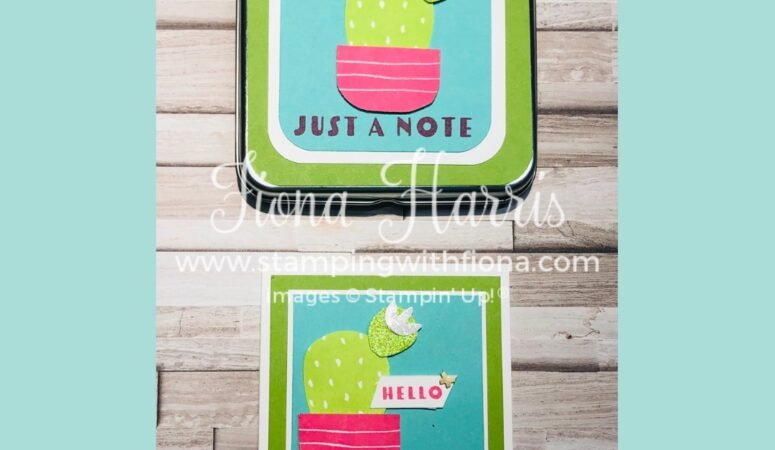 Friday With Fiona – Cactus Cuties in a Tin.