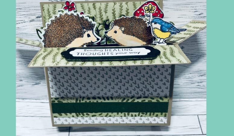 Friday With Fiona – Happy Hedgehogs & Card in a Box