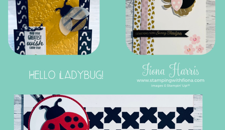 Friday With Fiona – Class To Go – Hello Ladybug!